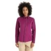 Icebreaker Hike Overhemd Met Lange Mouwen Dames - Go Berry -Icebreaker icebreaker womens hike long sleeve shirt go berry 3 1384116