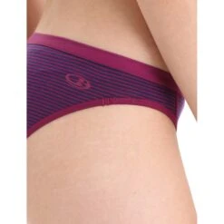 Icebreaker Siren Bikini Slip Dames - Go Berry/Royal Navy/Stripe -Icebreaker icebreaker womens siren bikini go berry royal navy stripe 6 1381983